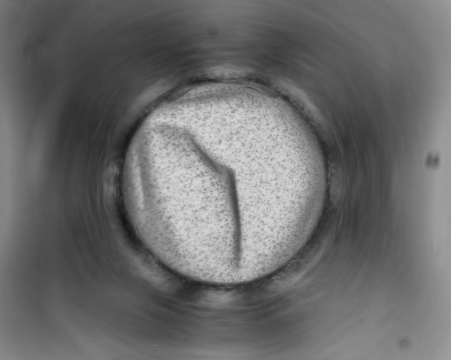 X0000100950071200807221131