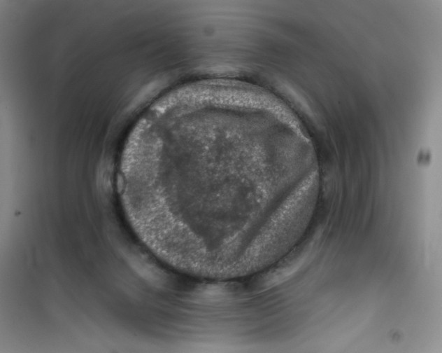 X0000100950072200807221131