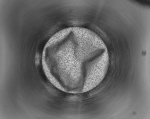 X0000100950075200807221131