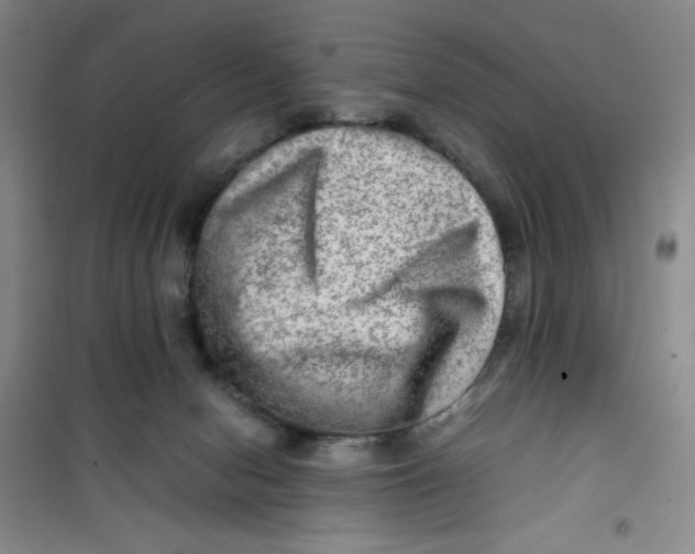 X0000100950078200807221131