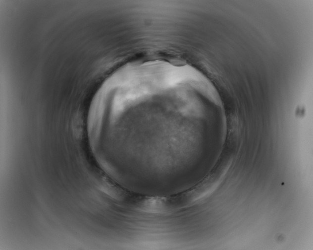 X0000100950080200807221131