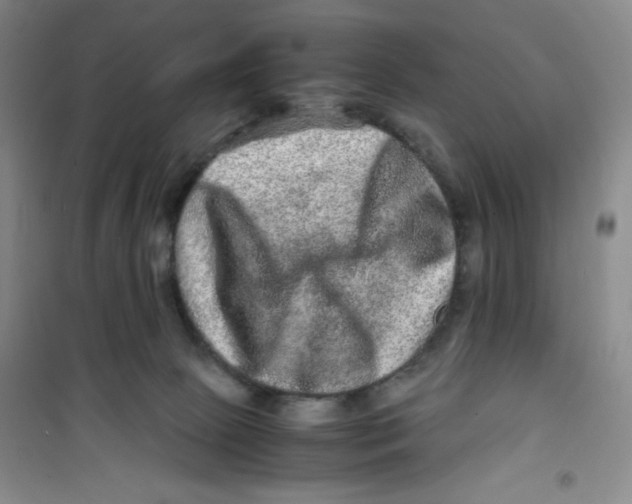 X0000100950081200807221131