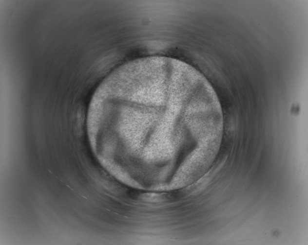 X0000100950082200807221131