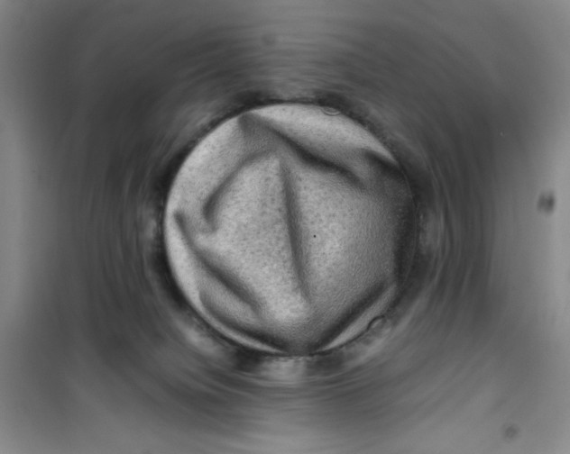 X0000100950084200807221131