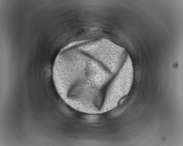 X0000100950085200807221131