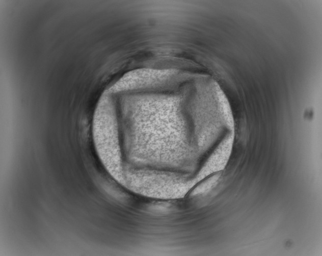 X0000100950086200807221131