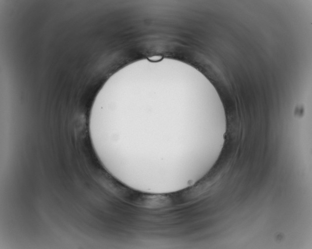 X0000100950087200807221131