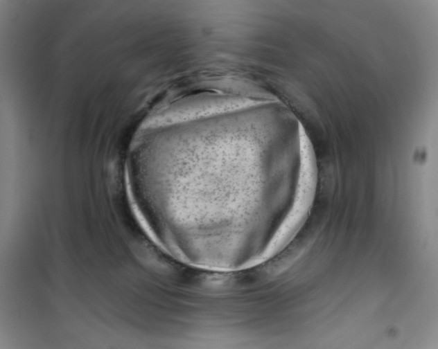 X0000100950088200807221131