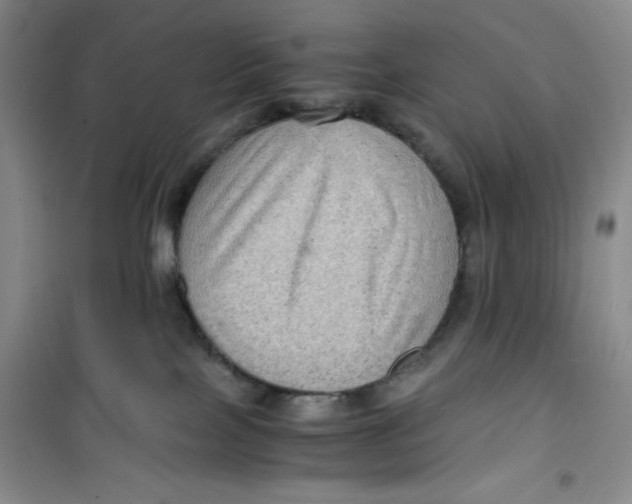 X0000100950089200807221131