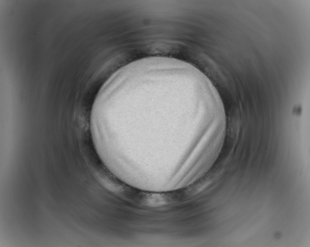 X0000100950091200807221131