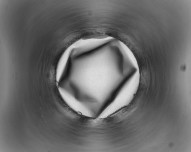 X0000100950092200807221131