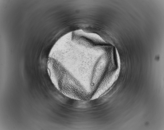 X0000100950093200807221131