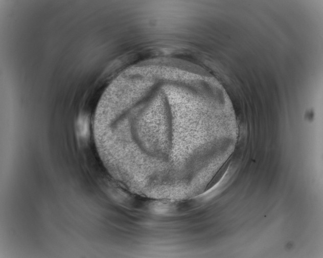 X0000100950094200807221131