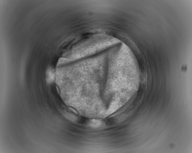 X0000100950095200807221131