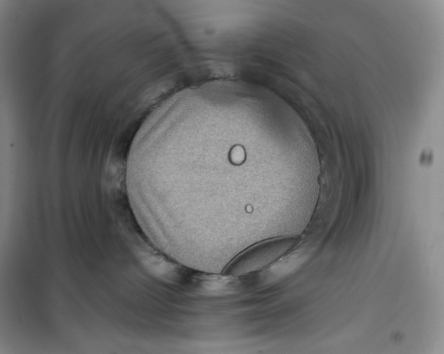 X0000100950096200807221131