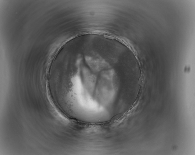 X0000100950097200807221130