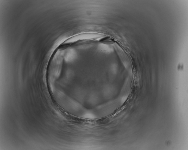 X0000100950099200807221130