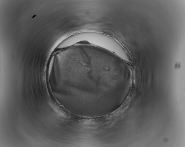 X0000100950100200807221130