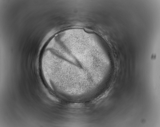 X0000100950102200807221130