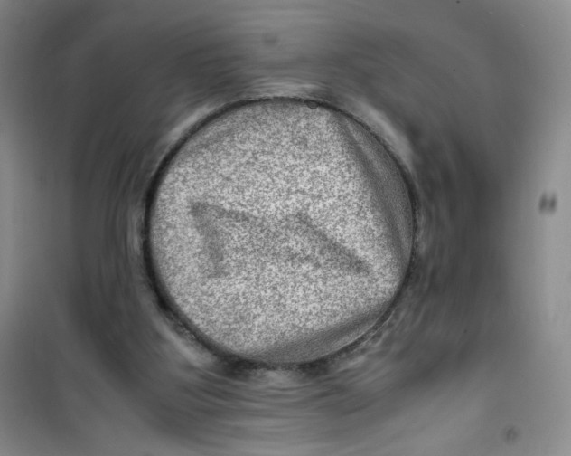 X0000100950107200807221130