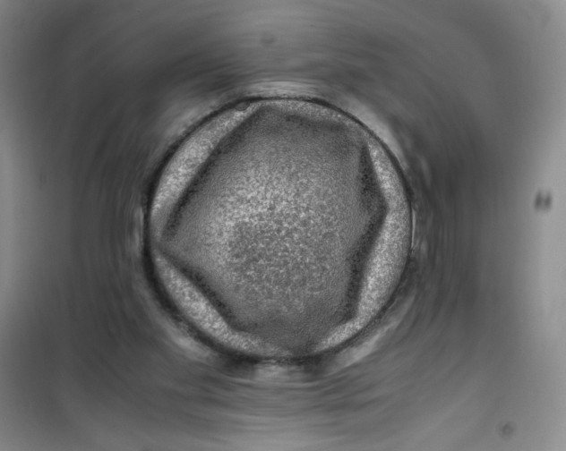 X0000100950109200807221130