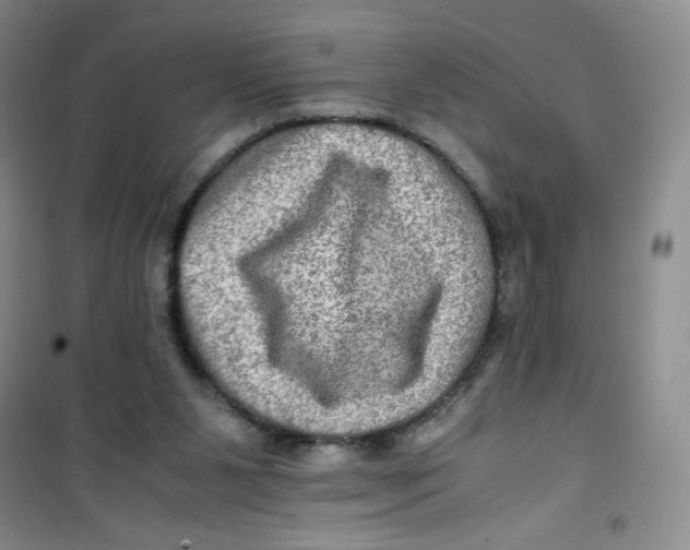 X0000100950111200807221130