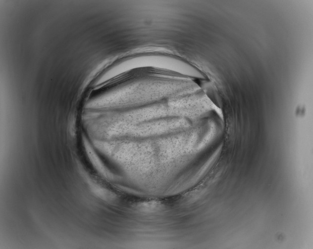 X0000100950112200807221130