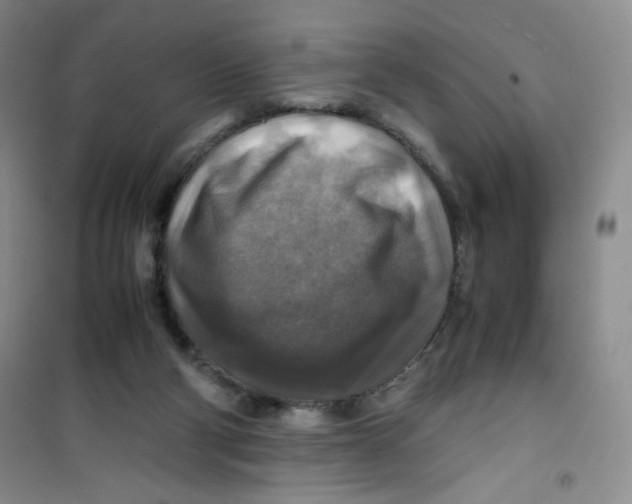 X0000100950114200807221130