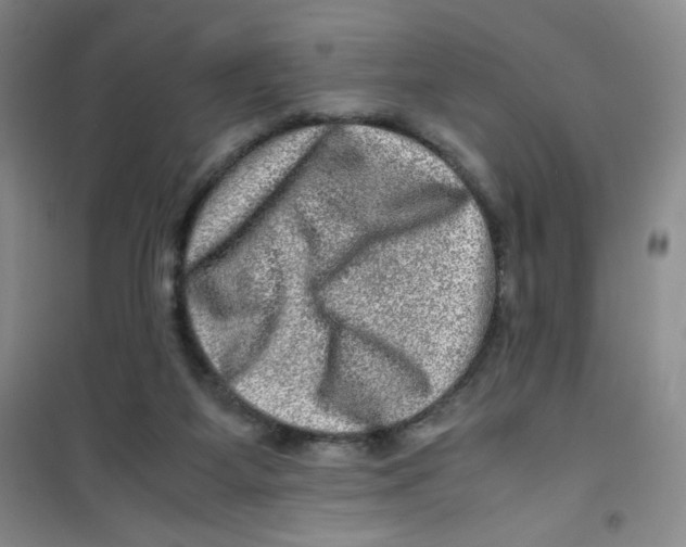 X0000100950115200807221130