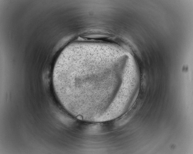 X0000100950116200807221130