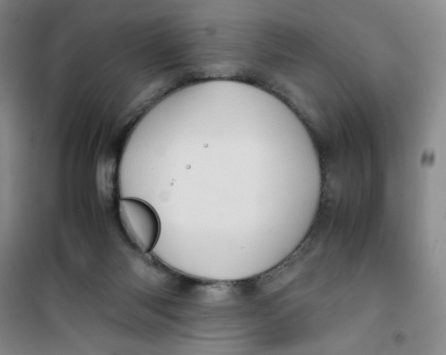 X0000100950118200807221130