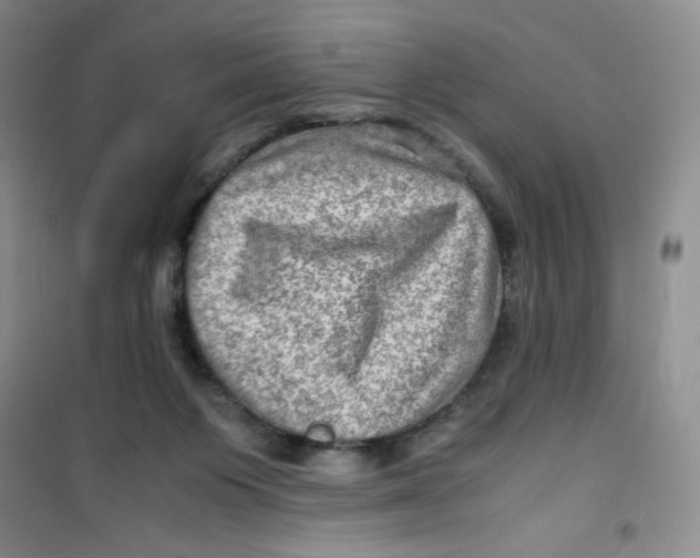 X0000100950119200807221130