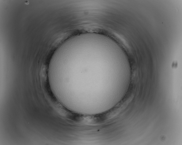 X0000100950121200807221130