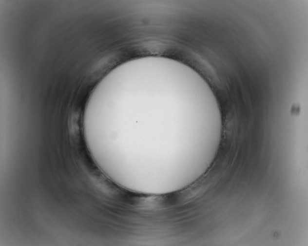 X0000100950122200807221130