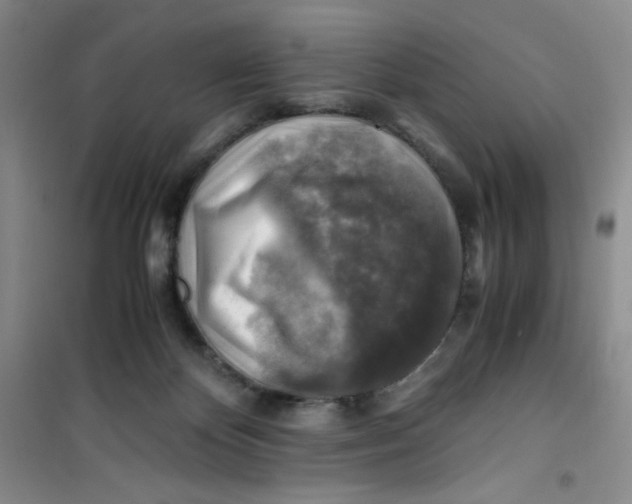 X0000100950124200807221130