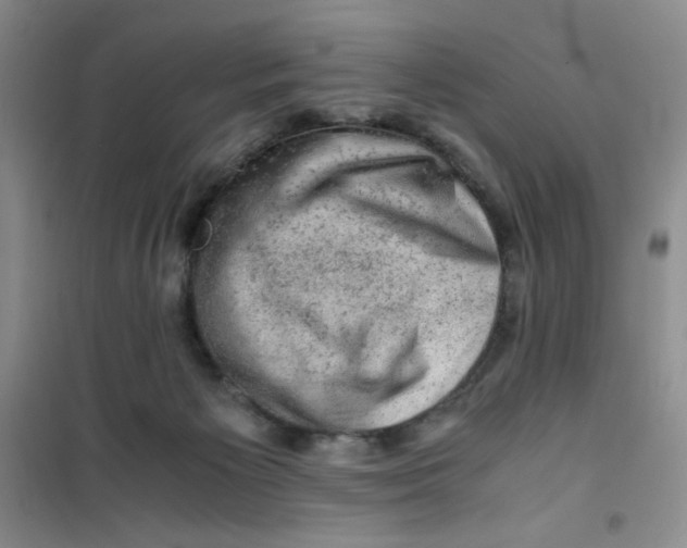 X0000100950125200807221130