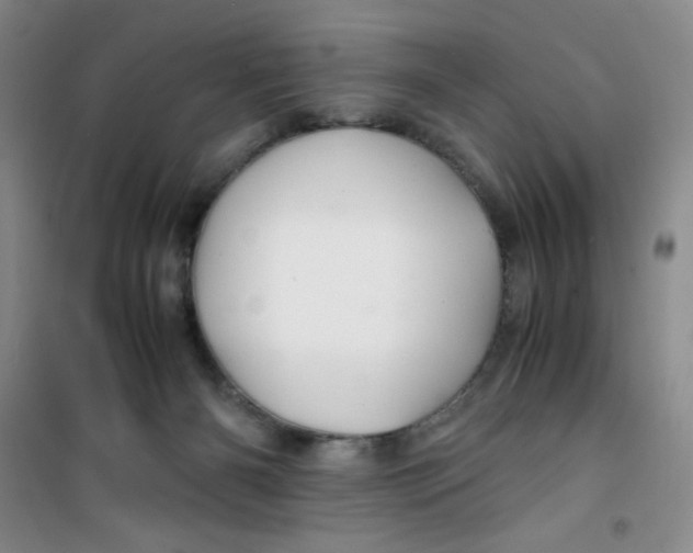 X0000100950126200807221130