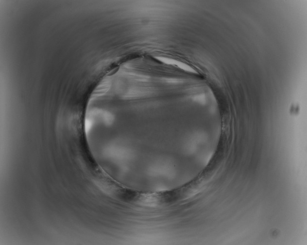 X0000100950127200807221130