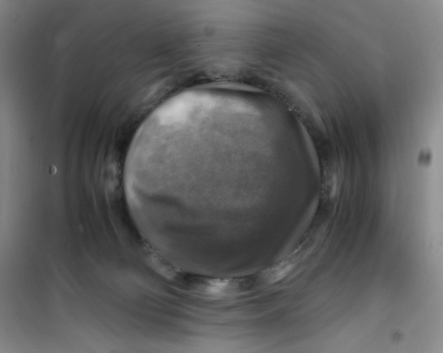 X0000100950130200807221130