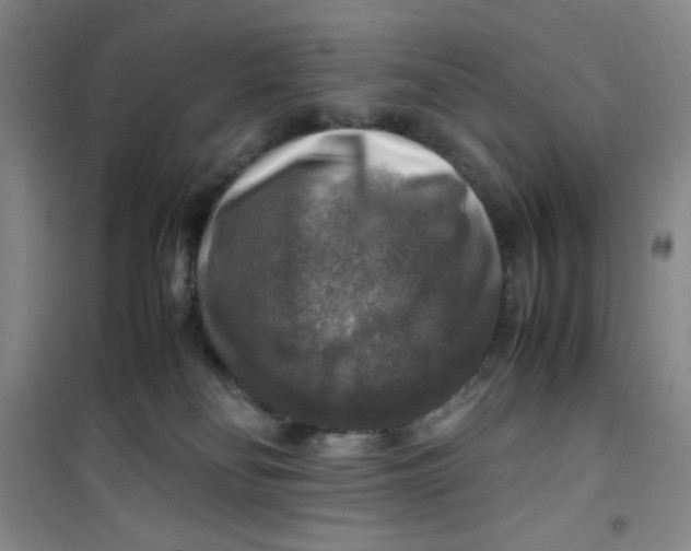 X0000100950134200807221130