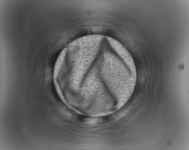 X0000100950135200807221130