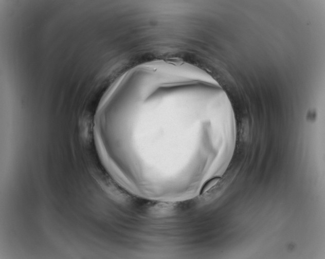 X0000100950138200807221130