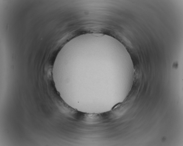 X0000100950141200807221130