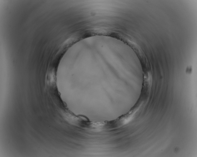 X0000100950143200807221130