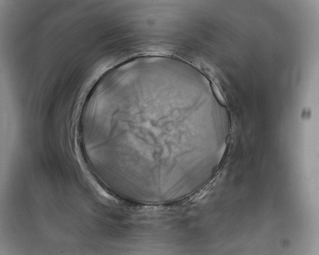 X0000100950145200807221129