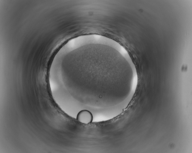 X0000100950146200807221129