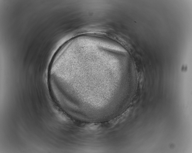 X0000100950148200807221129