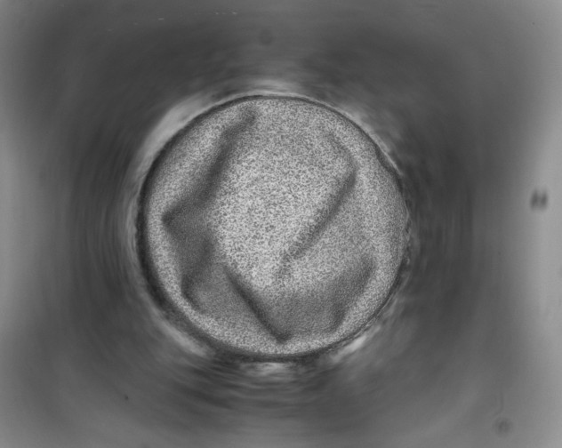 X0000100950151200807221129