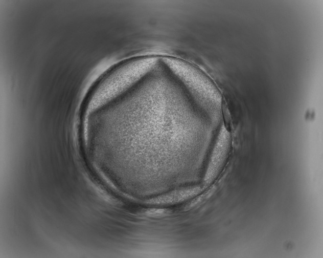 X0000100950152200807221129