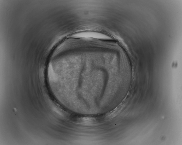 X0000100950154200807221129